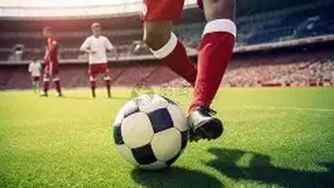 隋文静韩聪在日站花滑短节目中表现亮眼，荣登冠军之巅。